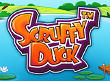 'Scruffy Duck'